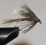 ���� ������ Wet fly 